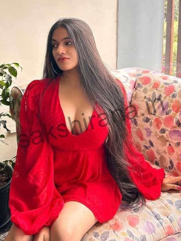anamika call girl service Ludhiana